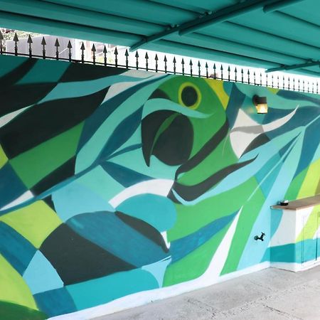 Mondo Verde Hostel Сао Паоло Екстериор снимка